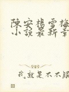 陈安杨雪梅许晴小说最新章节