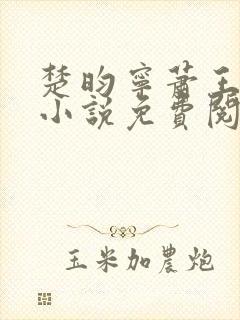 楚昀宁萧王穿越小说免费阅读