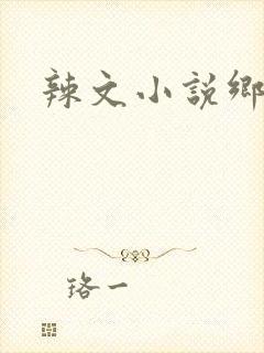 辣文小说乡村乱