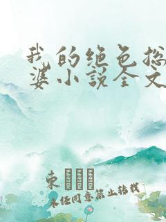 我的绝色总裁老婆小说全文免费阅读