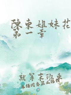 陈东姐妹花小说第一章