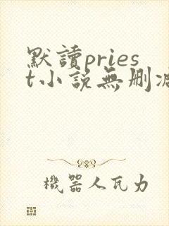 默读priest小说无删减正版在线阅读