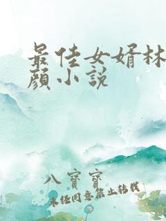 最佳女婿林羽江颜小说