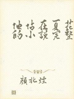 他站在夏花绚烂的小说完整