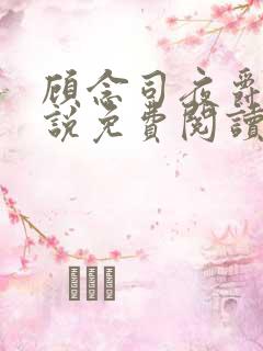 顾念司夜爵的小说免费阅读无弹窗