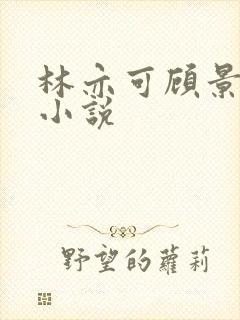 林亦可顾景霆的小说