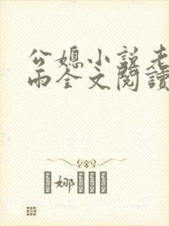 公媳小说老旺秦雨全文阅读