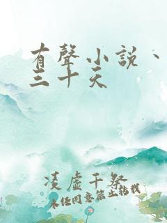 有声小说丶惊情三十天