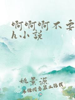 啊啊啊不要啊高h小说