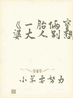 《一胎俩宝:老婆大人别想逃》