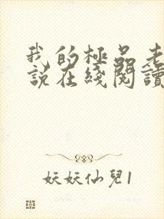我的极品老婆小说在线阅读