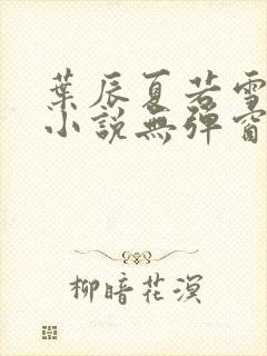 叶辰夏若雪孙怡小说无弹窗