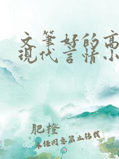 文笔好的高质量现代言情小说
