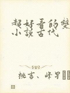 超好看的双男主小说古代
