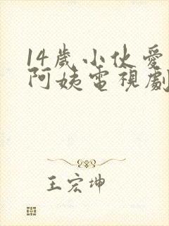 14岁小伙爱上阿姨电视剧免费观看