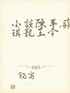 小说陈平,苏雨琪龙王令