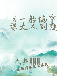 《一胎俩宝:老婆大人别想逃》