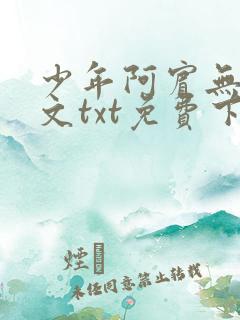 少年阿宾无删全文txt免费下载