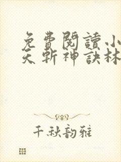免费阅读小说九天斩神诀林辰