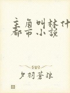 主角叫林什么的都市小说