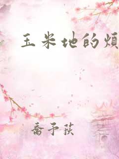 玉米地的烦恼