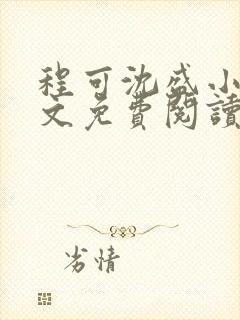 程可沈盛小说全文免费阅读
