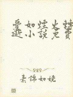 爱如烟火转瞬即逝小说免费阅读