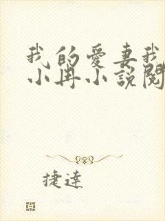 我的爱妻我的父小冉小说阅读免费