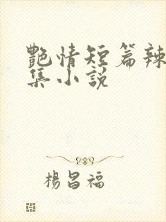艳情短篇辣文合集小说