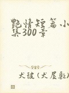 艳情短篇小说合集300章