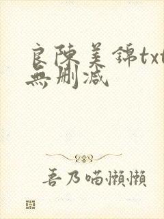 良陈美锦txt无删减