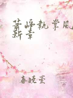萧峥执掌风云最新章