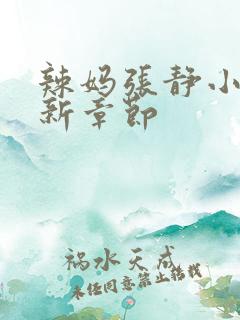 辣妈张静小说最新章节