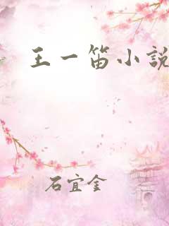 王一笛小说