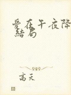 爱在午夜降临前 结局