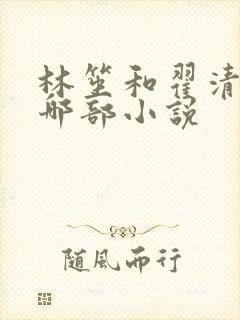 林笙和翟清淮是哪部小说