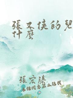 张又侠的儿子叫什么