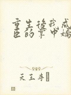 重生后我成了权臣的掌中娇在线阅读全文