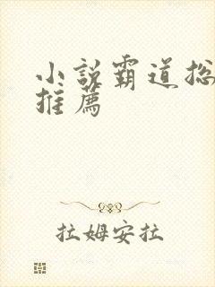 小说霸道总裁文推荐