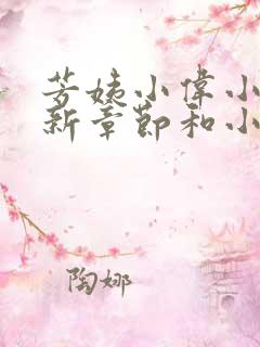 芳姨小伟小说最新章节和小说评价