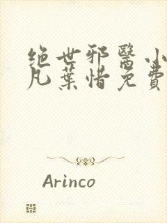 绝世邪医小说林凡叶惜免费阅读全文