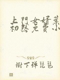 上门女婿叶辰萧初然免费小说