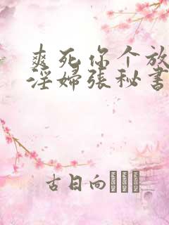 爽死你个放荡小淫妇张秘书小说