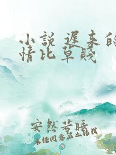 小说 迟来的深情比草贱