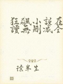 狂飙小说在线阅读无删减全文