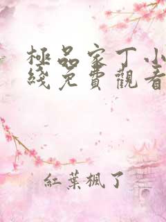 极品家丁小说在线免费观看