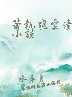 萧执砚云清欢的小说