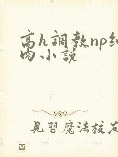 高h调教np纯肉小说