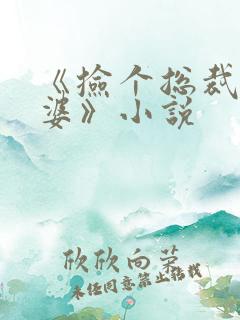 《捡个总裁做老婆》小说