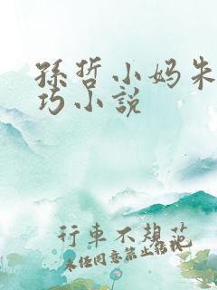 孙哲小妈朱颜叶巧小说